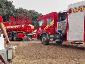 Bombeiros removem enxame de abelhas em residência de MT