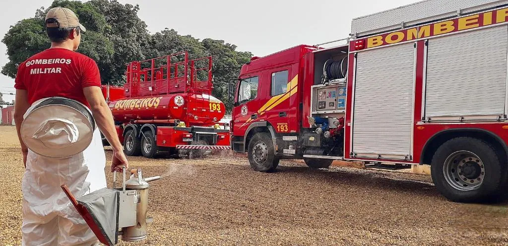 Bombeiros removem enxame de abelhas em residência de MT