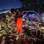 Bombeiros removem galhos caídos na BR-070 em Barra do Garças