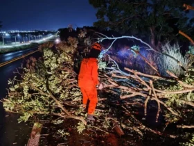 Bombeiros removem galhos caídos na BR-070 em Barra do Garças