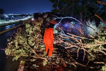 Bombeiros removem galhos caídos na BR-070 em Barra do Garças