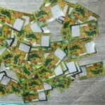 Faccao criminosa lucrava 80 em Mato Grosso com raspadinhas ilegais promovidas por influencers