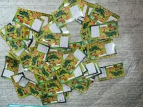 Faccao criminosa lucrava 80 em Mato Grosso com raspadinhas ilegais promovidas por influencers