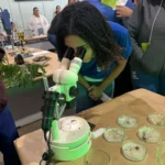Feira de Ciências em MT destaca protagonismo feminino e bioherbicidas