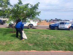 Idoso é preso por enforcar cachorro em Sorriso (MT) com auxílio do Vigia Mais MT