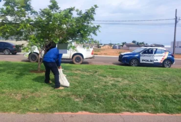 Idoso é preso por enforcar cachorro em Sorriso (MT) com auxílio do Vigia Mais MT