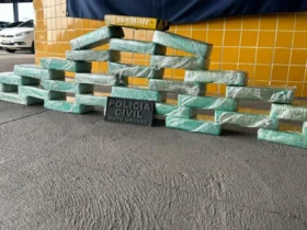Polícias apreendem 30 tabletes de cocaína em caminhão frigorífico