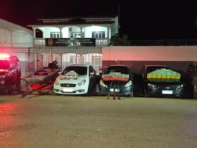 Operação em Cáceres apreende 103 kg de drogas e gera prejuízo milionário