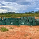 Segurança pública em Mato Grosso registra aumento de apreensão de drogas em 2025