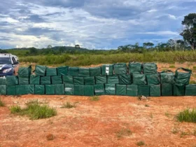 Segurança pública em Mato Grosso registra aumento de apreensão de drogas em 2025
