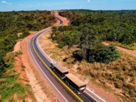 Governo de MT leiloa 634 km de rodovias estaduais na B3