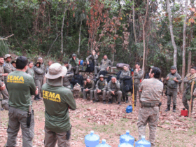 Imagem Fiscais da Sema e Polícia Civil integram forças em workshop contra o desmatamento