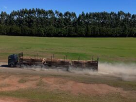 Implementos da Librelato ganham destaque em operacoes florestais agricolas e industriais Divulgacao 2