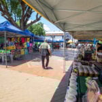 Novo publico e escolha de produtos marcam estreia de feira na Praca Ipiranga em Cuiaba