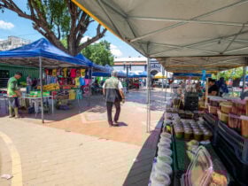 Novo publico e escolha de produtos marcam estreia de feira na Praca Ipiranga em Cuiaba