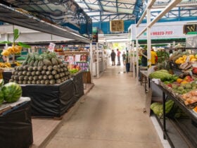 Obras de requalificacao do Mercado do Porto sao retomadas com foco em acessibilidade e drenagem