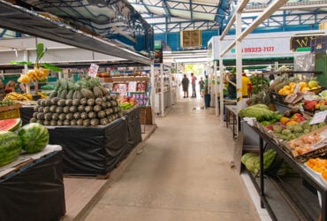 Obras de requalificacao do Mercado do Porto sao retomadas com foco em acessibilidade e drenagem