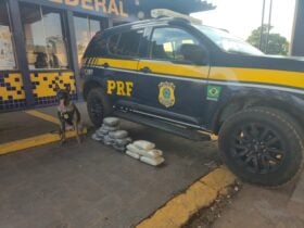 Droga foi localizada com auxílio do cão farejador K9 Zion; passageiro seguia de Rio Branco para Fortaleza e receberia pagamento pelo transporte