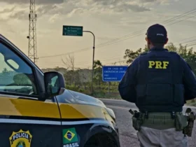 Apreensão de quase meia tonelada de maconha reforça combate ao tráfico em Rondonópolis