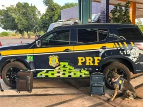 PRF apreende 20 tabletes de maconha em ônibus interestadual na BR-364 em Cuiabá (MT)