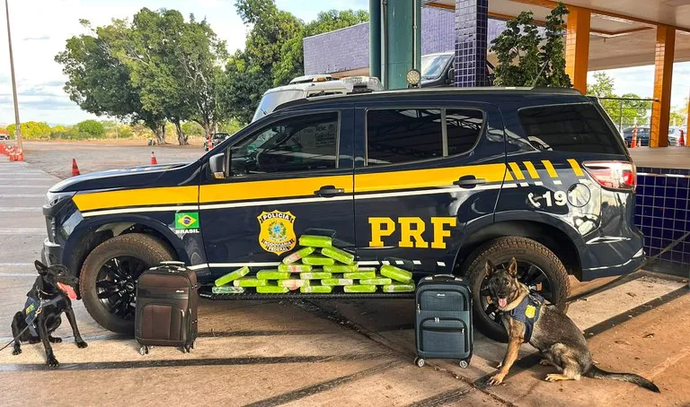 PRF apreende 20 tabletes de maconha em ônibus interestadual na BR-364 em Cuiabá (MT)