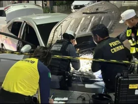 Perícias da Politec recuperam mais de R$ 1 milhão em veículos adulterados