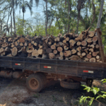 Policia Federal deflagra operacao em combate a comercializacao ilegal de madeira no Mato Grosso