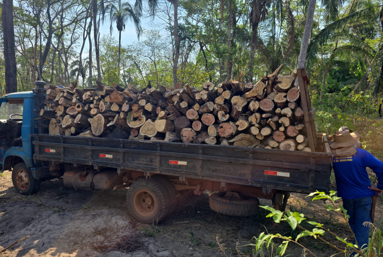 Policia Federal deflagra operacao em combate a comercializacao ilegal de madeira no Mato Grosso