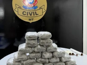 Polícia Civil apreende 22 tabletes de skunk em Cáceres