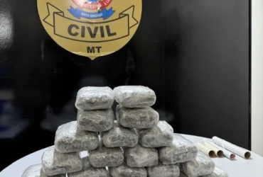Polícia Civil apreende 22 tabletes de skunk em Cáceres