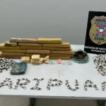 Polícia Civil apreende drogas e prende trio em Aripuanã