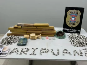 Polícia Civil apreende drogas e prende trio em Aripuanã