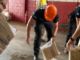 Polícia Civil incinera 3,5 toneladas de drogas em Cuiabá