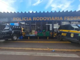 Polícia apreende 485 tabletes de maconha em Rondonópolis