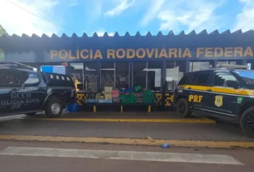 Polícia apreende 485 tabletes de maconha em Rondonópolis