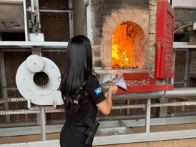 Polícia Civil incinera 36 kg de drogas apreendidas em Poxoréu