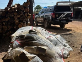 Polícia Civil incinera 1,1 t de drogas em Cáceres