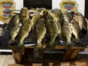 Polícia prende suspeito por pesca ilegal em Canarana
