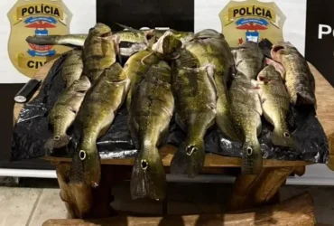 Polícia prende suspeito por pesca ilegal em Canarana