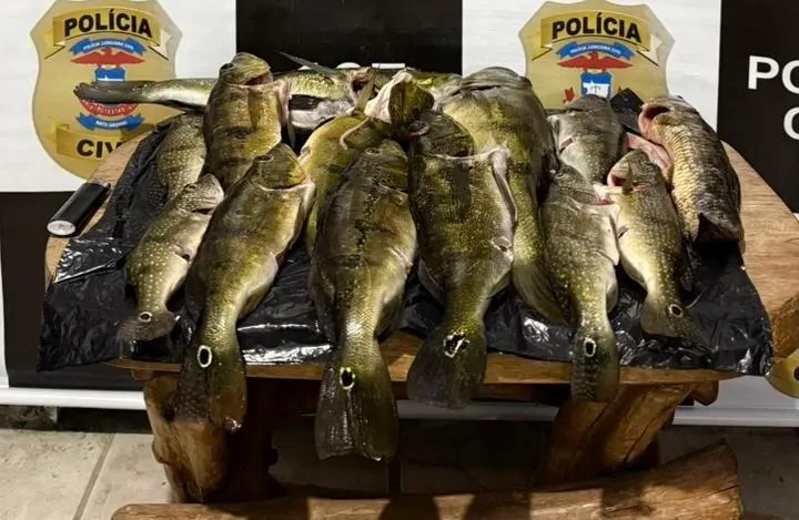Polícia prende suspeito por pesca ilegal em Canarana