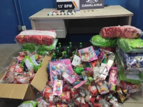 Polícia de MT apreende drogas e brinquedos ligados a facção