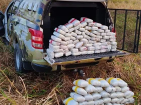 Polícia apreende 127 quilos de maconha e gera prejuízo milionário ao crime em Mato Grosso