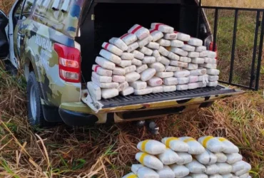 Polícia apreende 127 quilos de maconha e gera prejuízo milionário ao crime em Mato Grosso
