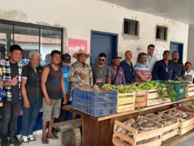 Povos indígenas fortalecem segurança alimentar em Mato Grosso