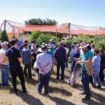 Produtores de Sorriso participam de missao tecnica em Brasilia para fortalecer a agricultura familiar