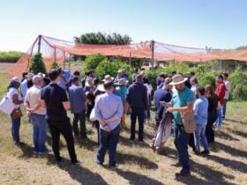 Produtores de Sorriso participam de missao tecnica em Brasilia para fortalecer a agricultura familiar