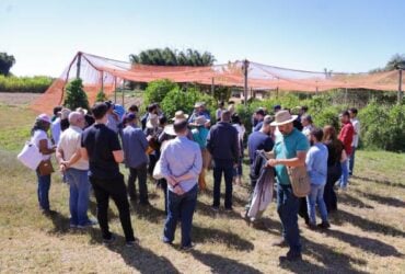 Produtores de Sorriso participam de missao tecnica em Brasilia para fortalecer a agricultura familiar