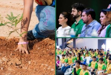 Projeto de viveiro permanente e lancado com apoio do Ministerio Publico de Mato Grosso