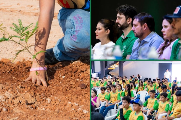 Projeto de viveiro permanente e lancado com apoio do Ministerio Publico de Mato Grosso