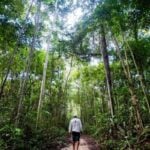Projeto nacional paga produtores de Sorriso que mantem a floresta em pe